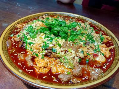  冒菜技术91短视频在线观看机构哪儿好？一对一从零课堂教学