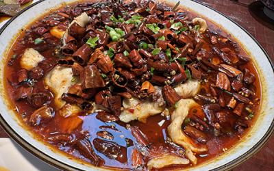 成都凉拌菜91短视频在线观看如何选择？学习凉菜技术哪里好