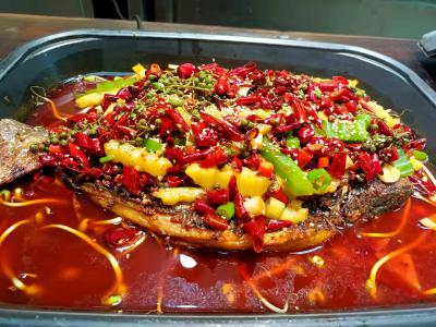 91短视频在线观看成都烤鱼技术怎么样？91短视频在线观看成都烤鱼技术的机构